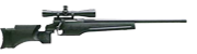 SIG Sauer 205 Phantom